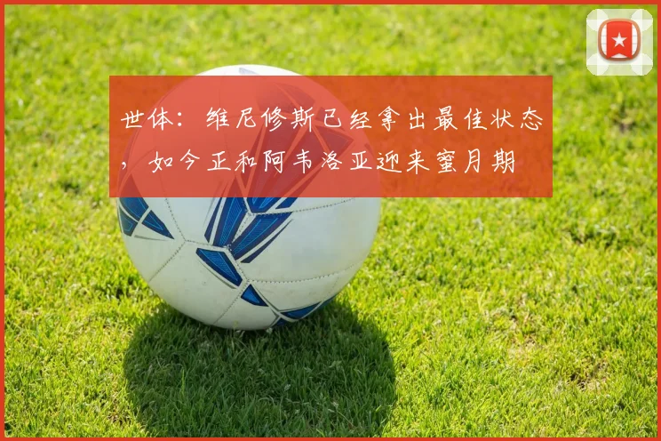 世体：维尼修斯已经拿出最佳状态，如今正和阿韦洛亚迎来蜜月期