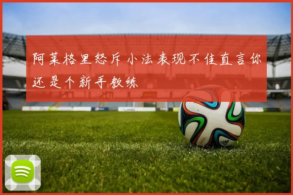 阿莱格里怒斥小法表现不佳直言你还是个新手教练