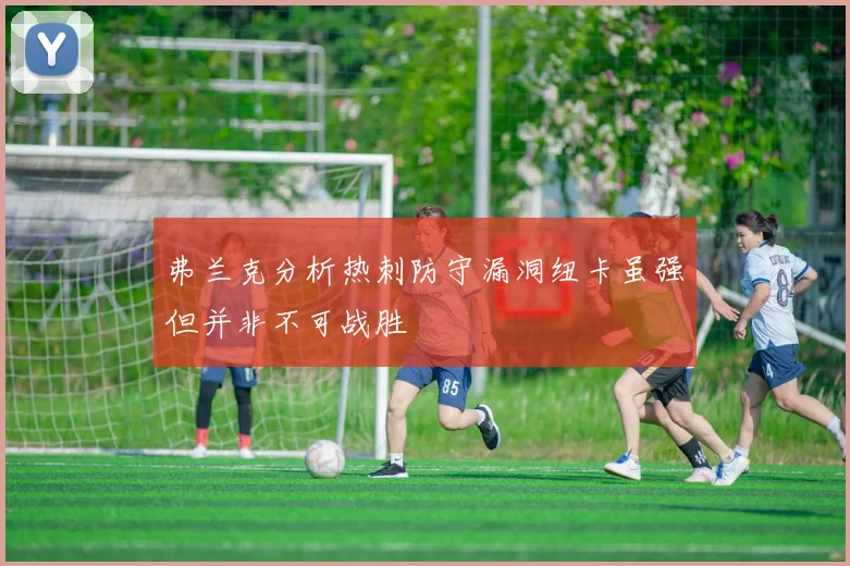 弗兰克分析热刺防守漏洞纽卡虽强但并非不可战胜