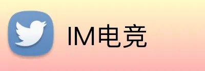 IM电竞 Logo